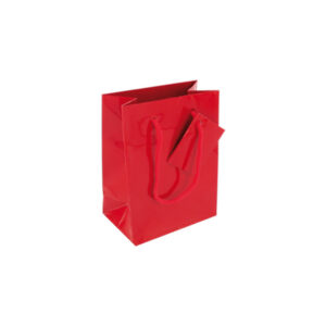 Sac Cadeau N°2 avec cordelette tressée assortie (100 minimum)