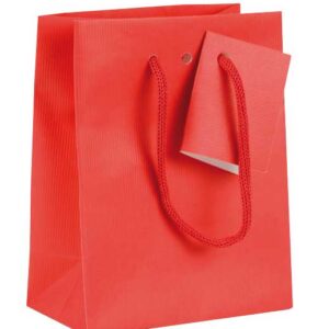 Sac Cadeau N°3 avec cordelette tressée assortie(100 minimum)